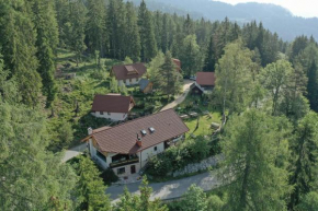 Guesthouse Planinski Dom Majerhold Solčava